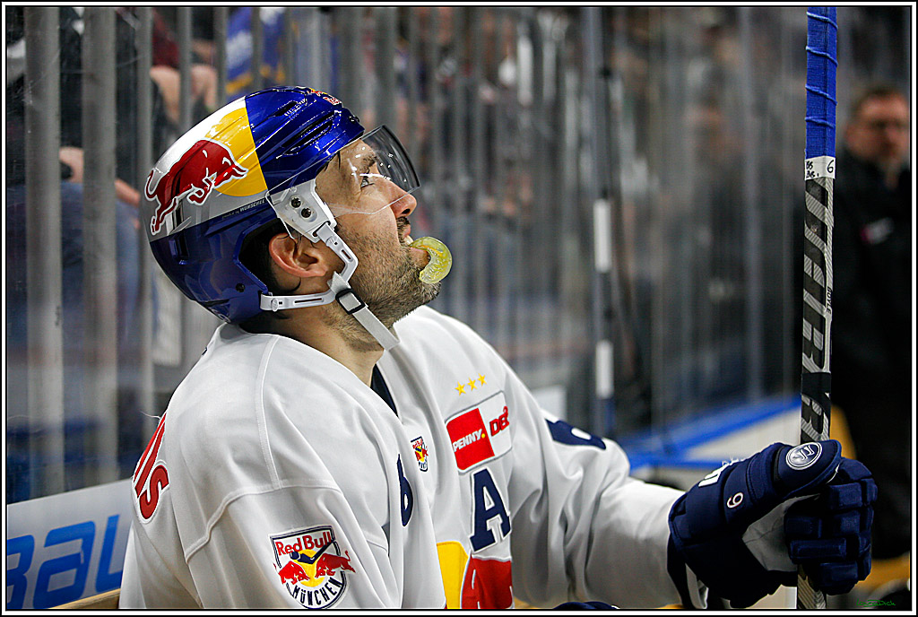PENNY DEL; Koelner Haie- Red BUll Muenchen; Koeln, 08.11.2022